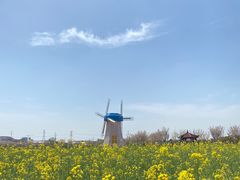 -武汉紫薇都市田园