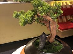 -小和庆·知味(首铸万科店)