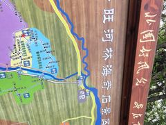 -汤旺河林海奇石景区
