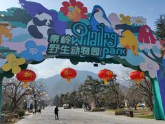 -西安秦岭野生动物园
