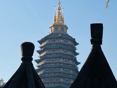 -红梅公园