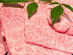 -然锅料理