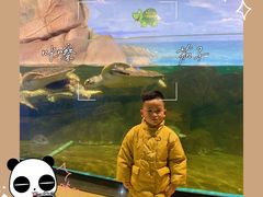 -福州罗源湾海洋世界旅游区