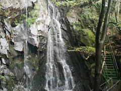 -藏龙百瀑风景区