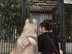 -TrueLove @ Neverland (Husky Cafe)
