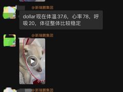 -美联众合动物医院·24h转诊中心