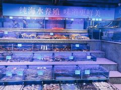 -青蓬蒸汽海鲜·深圳老字号·团建聚会(壹方城店)