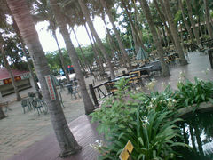 android_upload_pic-万绿园