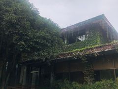 -中国茶叶博物馆(双峰馆区)