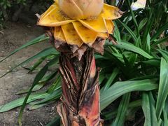 -南通洲际绿博园