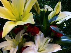 -赵记阿香婆麻辣涮(平顶山店)