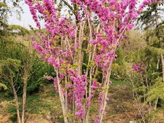 -铁道游击队纪念馆