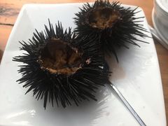 活海胆-食海部落