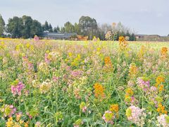 -中国天府农业博览园