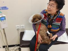 -美联众合动物医院·24h转诊中心