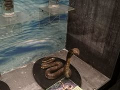 -下渚湖国家湿地公园科普馆