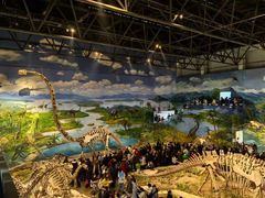 -自贡恐龙博物馆