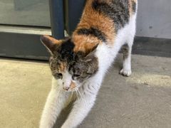 -隹木咖啡馆(宝龙广场店)