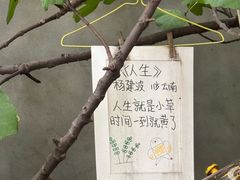 -橡皮书店(翠湖北路店)