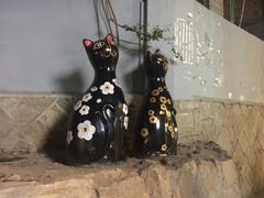 -猫咪博物馆(顶澳仔猫街店)