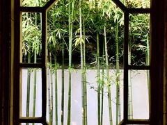 -秋霞圃