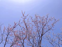 -阳澄湖半岛旅游度假区