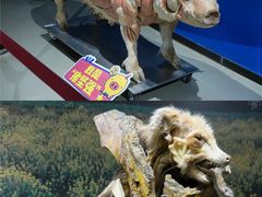 -生命奥秘博物馆