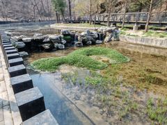 -白水寺森林公园
