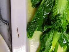 -马白开来特色羊排揪片子  (总店)