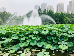 -龙头寺公园