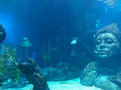 -暹罗海洋世界