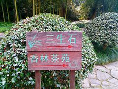 -杭州西湖风景名胜区-三生石
