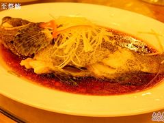 虎斑鱼-龙泉海鲜酒楼(龙昆南路店)