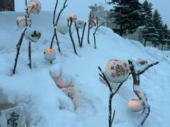 -小樽运河广场(運河プラザ)