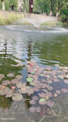 -拾光年华摄影馆(菱角湖公园店)