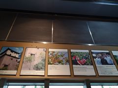 -百年朱苦拉咖啡(博物馆店)
