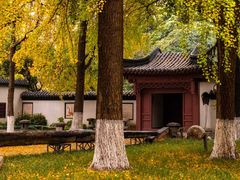 -郑和公园