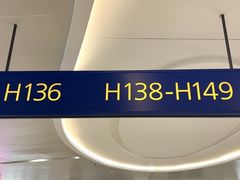 -上海浦东国际机场-T2航站楼