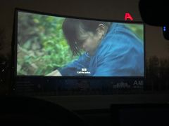 -枫花园汽车电影院(朝阳公园店)