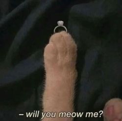 -本真坊美容美体沙龙