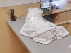 -爱侣宠医·鹦鹉专科·小型哺乳类·异宠专科(灵石路店)