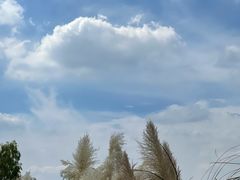 -上海山野camping·户外天幕烧烤·团建拓展营地