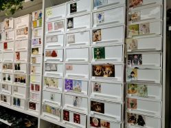 -小鬼当佳儿童摄影(回龙观店)