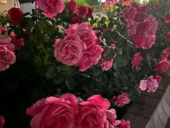 -ChanDu躔度咖啡(灯塔店)