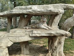 -北京野生动物园