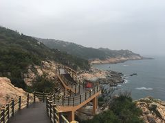 -广东惠东海龟国家级自然保护区