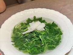 -九里云松·天香餐厅