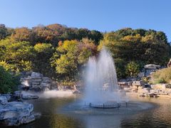 -北京西山国家森林公园