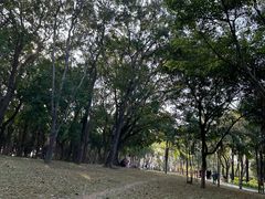 -深圳湾公园(南山区)