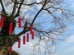 -灵栖洞天